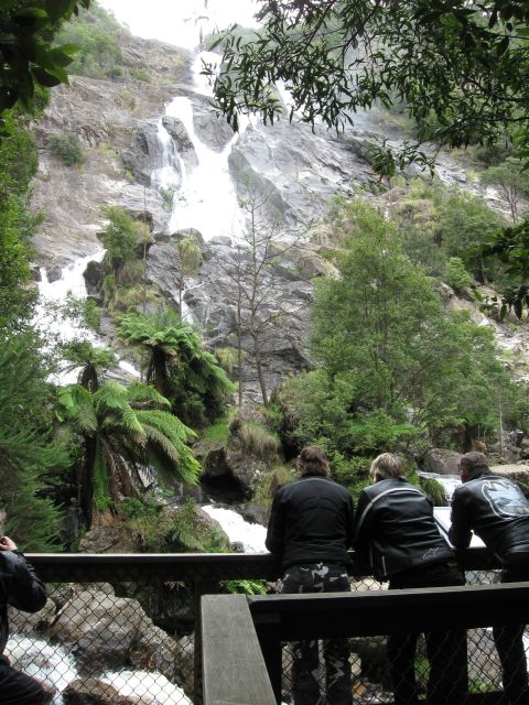 Tassie 25Jan2011