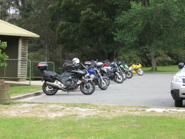 Tassie 25Jan2011