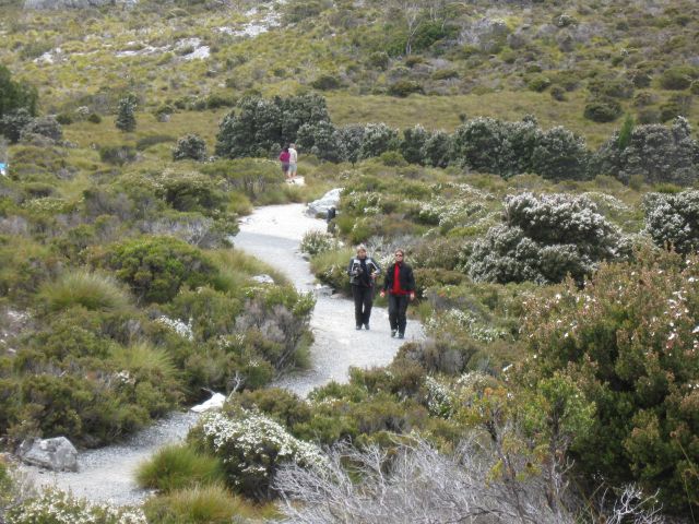 Tassie 27Jan2011