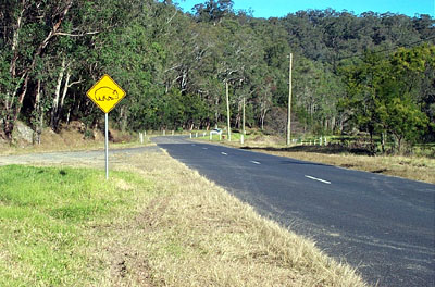 Wombat sign